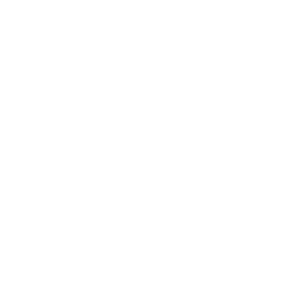 Bridging Mortgages